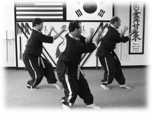 Movements from student kata 19